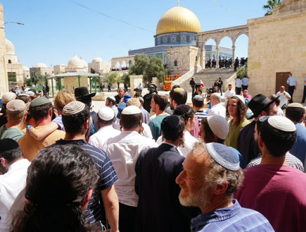 יהודים עולים להר הבית בתשעה באב