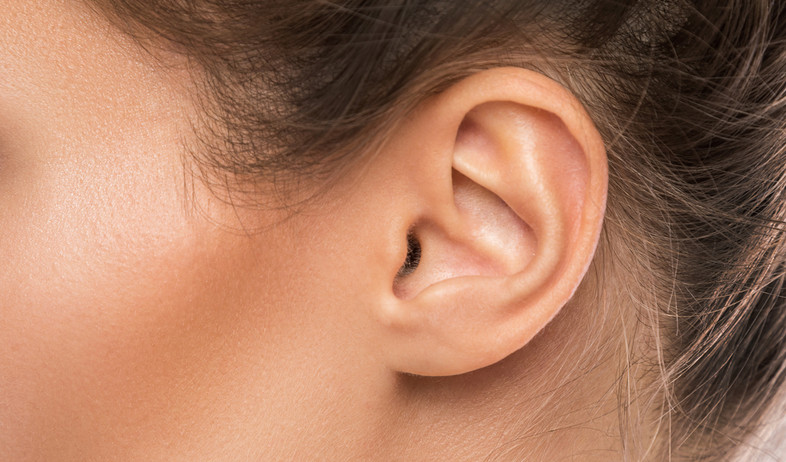 אוזן של אישה (צילום: BLACKDAY, shutterstock)