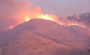 השריפה בשמורת הטבע סוסיתא (צילום: עמי דורפמן, רשות הטבע והגנים)