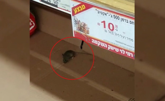 עכברים מכרסמים לחם בסניף רמי לוי בנתניה (צילום: החדשות , אלדד עובדיה)