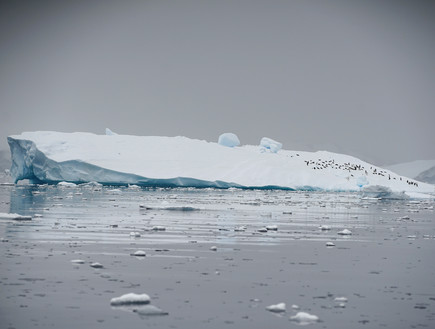 קרחון באנטארטיקה (צילום: רויטרס, רויטרס_)