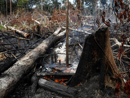 שרפות הענק של יערות הגשם בברזיל (צילום: רויטרס_)