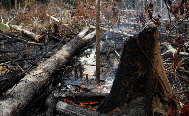 שרפות הענק של יערות הגשם בברזיל (צילום: רויטרס_)