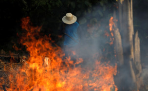 שרפות הענק של יערות הגשם בברזיל (צילום: רויטרס, רויטרס_)