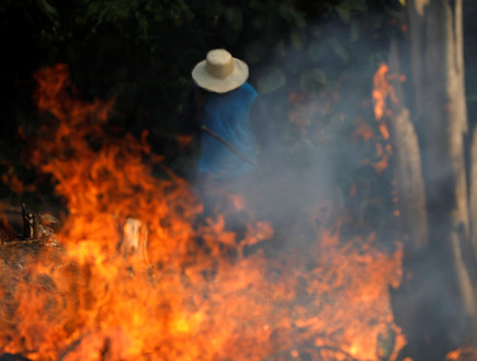 שרפות הענק של יערות הגשם בברזיל (צילום: רויטרס, רויטרס_)