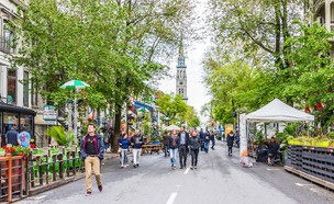 מונטריאול  (צילום: Kristi Blokhin | Shutterstock)