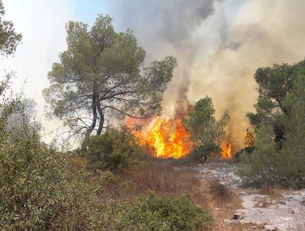 שרפה בהרי ירושלים (צילום:  דוברות כב