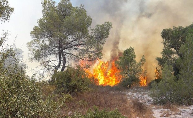 שרפה בהרי ירושלים (צילום:  דוברות כב"ה ירושלים)