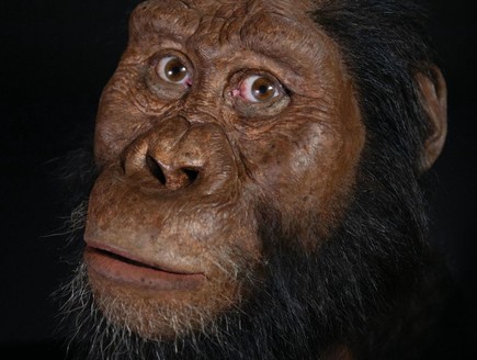 כך נראה אדם קדמון לפני 3.8 מיליון שנה (צילום: SKY NEWS)