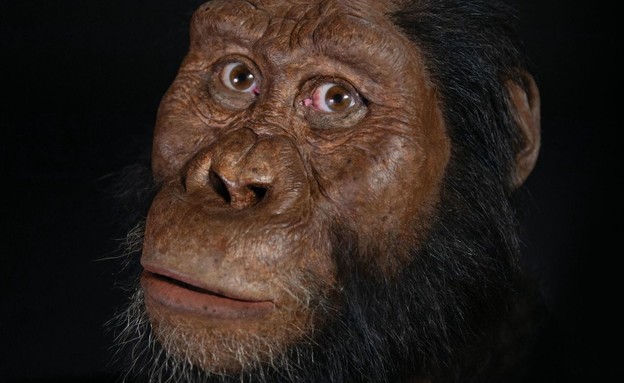 כך נראה אדם קדמון לפני 3.8 מיליון שנה (צילום: SKY NEWS)