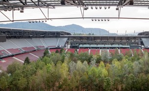 יער ענק השתלט על אצטדיון שלם באוסטריה (צילום: פייסבוק For Forest)
