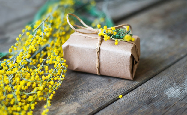 מתנה עטופה (צילום: vergor, Shutterstock)
