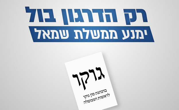 מפלגת דרגון בול (צילום: מתוך עמוד הפייסבוק 