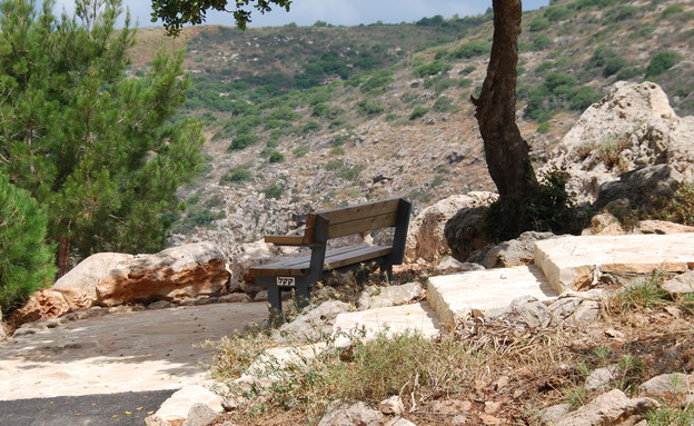 יער אדמית (צילום: איתן לבב)