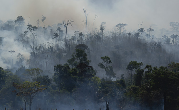 אש ביער האמזונס במחוז אלטמירה בברזיל (צילום: ap)
