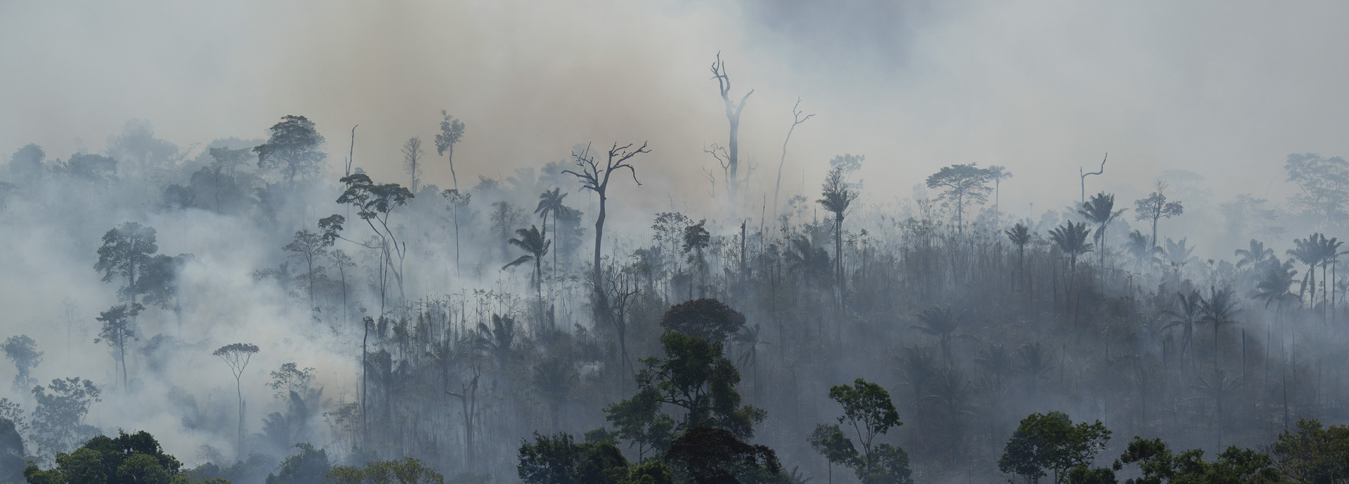 אש ביער האמזונס במחוז אלטמירה בברזיל (צילום: ap)