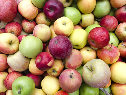 זני תפוחים (צילום: shutterstock, Nadezda Barkova)