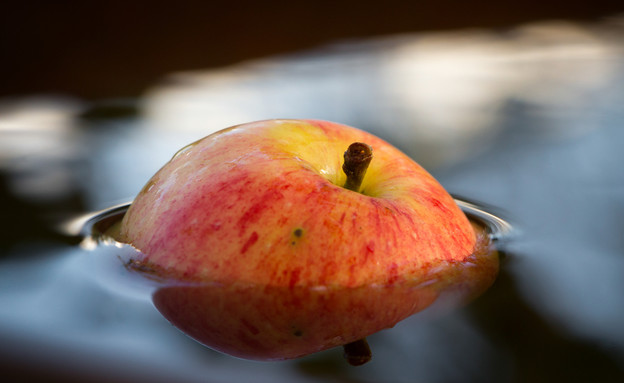 תפוח צף (צילום: shutterstock, Nadezda Barkova)