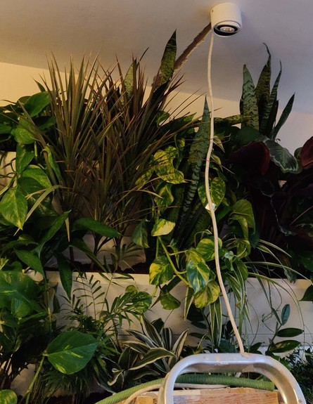 פרויקטים, ג - 9 פרויקטים, ג - 9