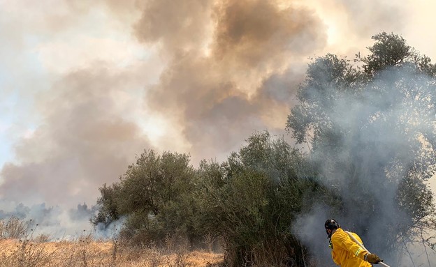 שרפת חורש ליד קיבוץ בית ניר (צילום: תיעוד מבצעי כבאות)