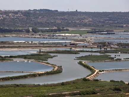 בריכות הדגים במעגן מיכאל (צילום: עופר וקנין, TheMarker)