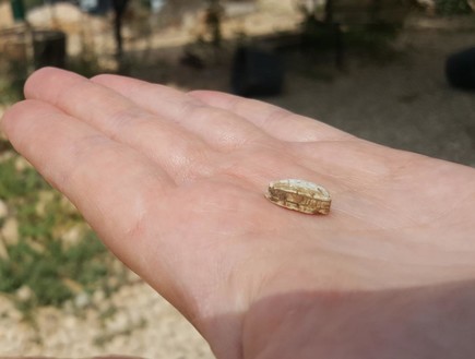 החרפושית הכנענית שנמצאה (צילום: דוברות מתפ״ש)