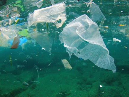 זיהום פלסטיק בים