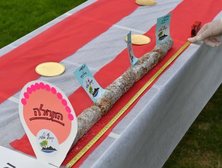 רולדת התמרים הארוכה בעולם- יטבתה (צילום: יוד צילומים)