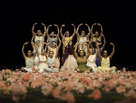 ציפורנים פינה באוש