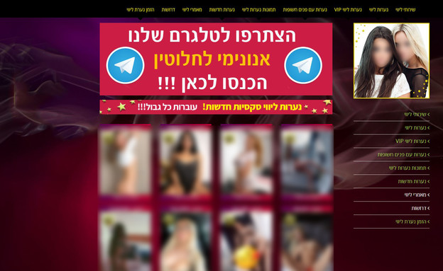 האתר שהפעילה הרשת לסחר בנשים וסרסורן לזנות (צילום: צילום מסך)