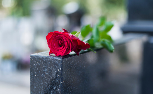 שושנה על מצבה בבית קברות (צילום: Dragana Gordic, ShutterStock)