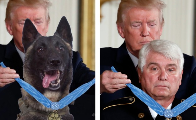 טראמפ מעניק מדליה לכלב (צילום: Alex Brandon | עיבוד: DailyWire, AP)