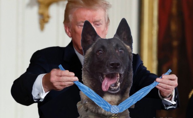 טראמפ מעניק מדליה לכלב (צילום: Alex Brandon | עיבוד: DailyWire, AP)