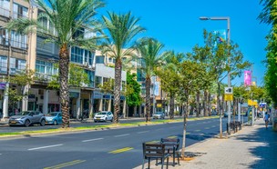 רחוב אבן גבירול בתל אביב