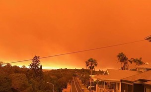 גל שרפות באוסטרליה (צילום: sky news)