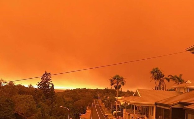 גל שרפות באוסטרליה (צילום: sky news)