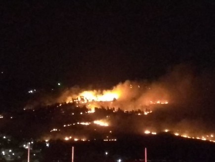 שרפת קוצים סמוך ליישוב דחי (צילום: תיעוד מבצעי כבאות)