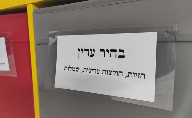 איקאה לימור פרי (צילום: לימור פרי)