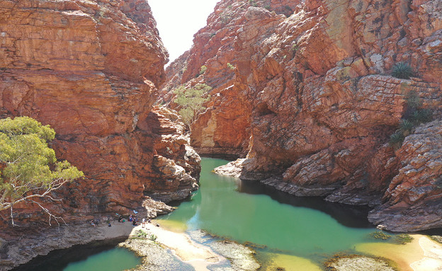 Outback (צילום: ניצן אנגלנדר)