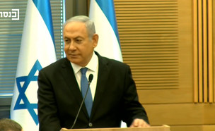 ראש הממשלה בנימין נתניהו (צילום: ערוץ הכנסת)