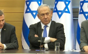 ראש הממשלה בנימין נתניהו (צילום: החדשות12)