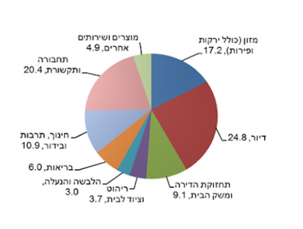    על מה מוציאים הישראלים הכי הרבה כסף? (צילום: הלשכה המרכזית לסטטיסטיקה)