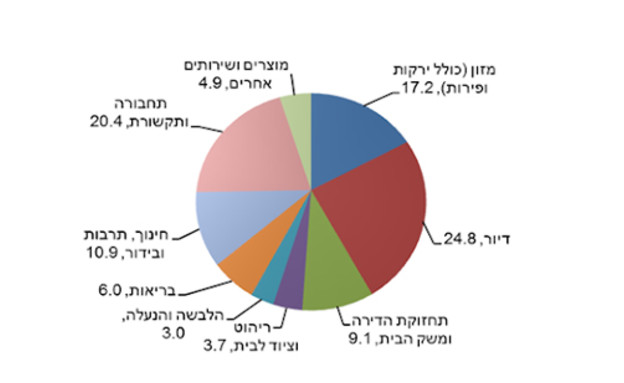    על מה מוציאים הישראלים הכי הרבה כסף? (צילום: הלשכה המרכזית לסטטיסטיקה)