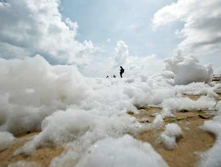 קצף לבן שמזהם את חוף מרינה ביץ' בהודו (צילום: רויטרס)