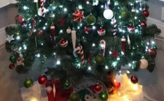 עץ חג המולד (צילום: יוטיוב\The Grinch)