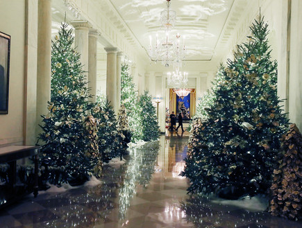 חג מולד בבית הלבן - 5 (צילום: Mark Wilson, Staff, GettyImages)