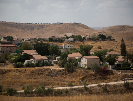 שדמות מחולה בבקעת הירדן (צילום: הדס פרוש, פלאש/90 )