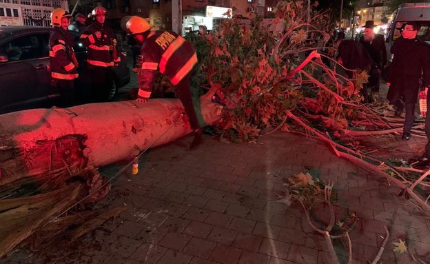 קריסת עץ בבני ברק (צילום: דוברות איחוד הצלה )