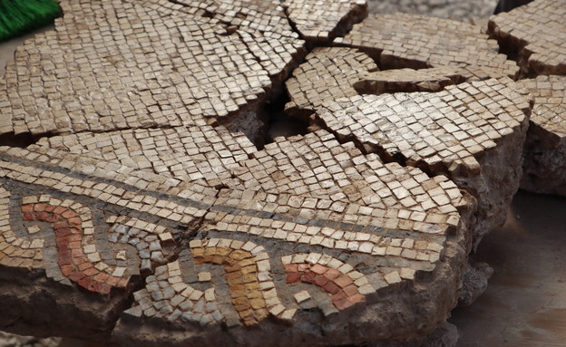 חפירה ארכיאולוגית באשקלון (צילום: ענת רסיוק, רשות העתיקות)