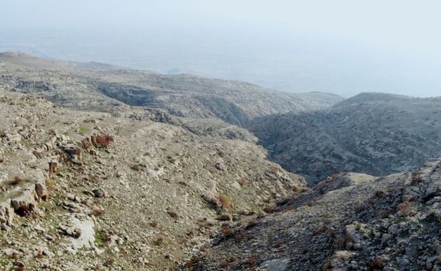 המערות בהן מתחבאים לוחמי הארגון (צילום: BBC)